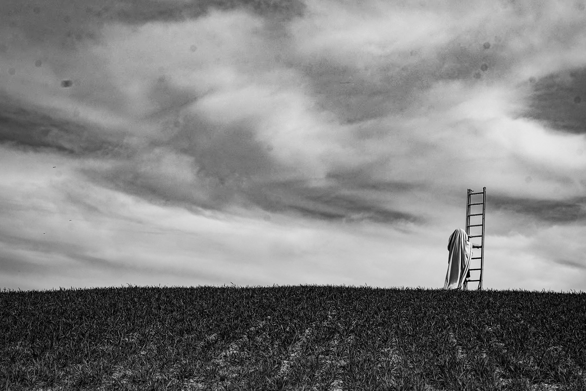 Therapy landscape session